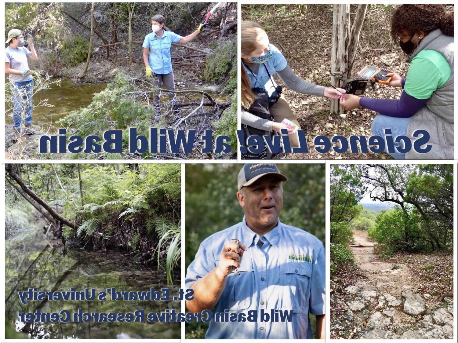 The image is a collage titled "Science Live at Wild Basin." It features six photographs related to outdoor scientific activities conducted by St. Edward's University at the Wild Basin Creative Research Center.